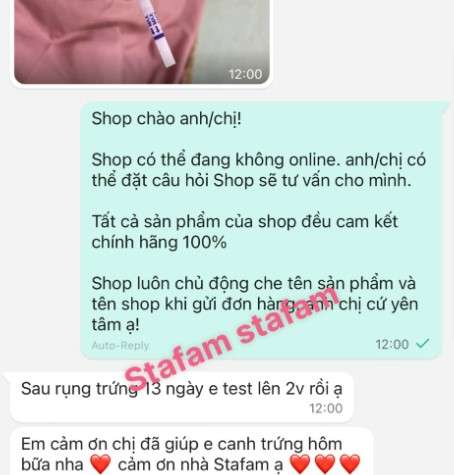 Review thuốc bổ trứng Stafam