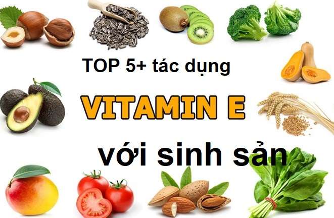 công dụng của vitamin E với sức khỏe sinh sản