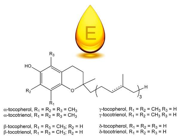 công dụng của vitamin E với sức khỏe sinh sản